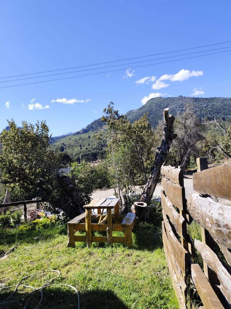 Apartamento Hakuna Pehuenia