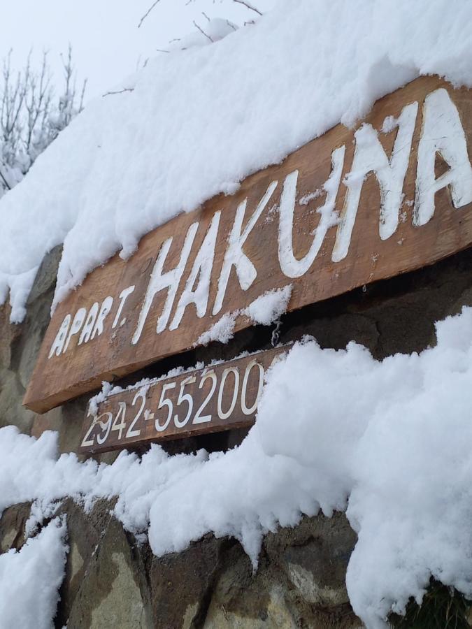 Apartment Hakuna Pehuenia *