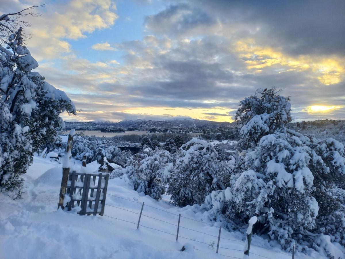 Hakuna Pehuenia