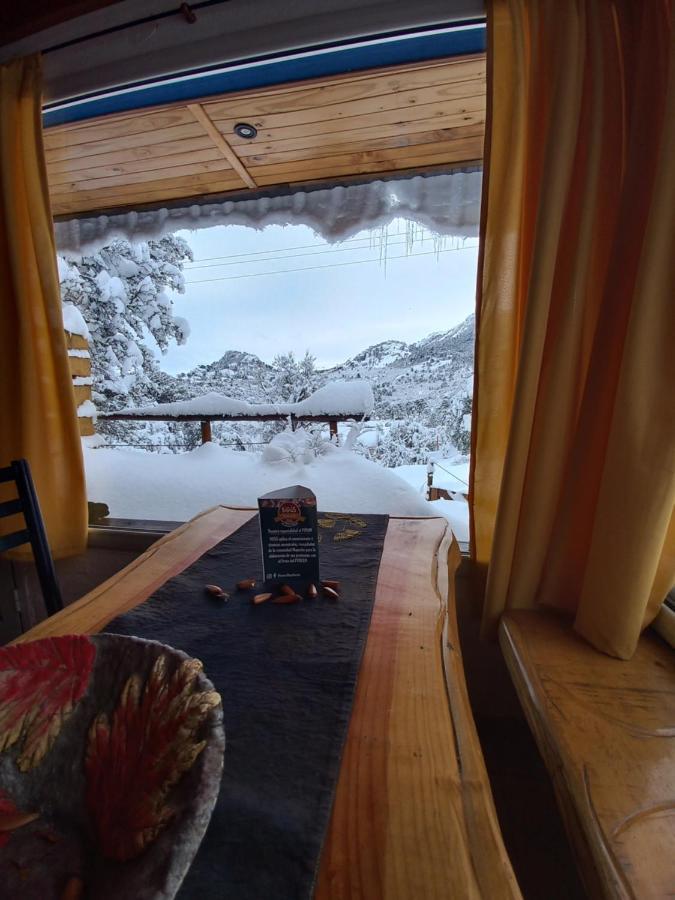 Apartment Hakuna Pehuenia