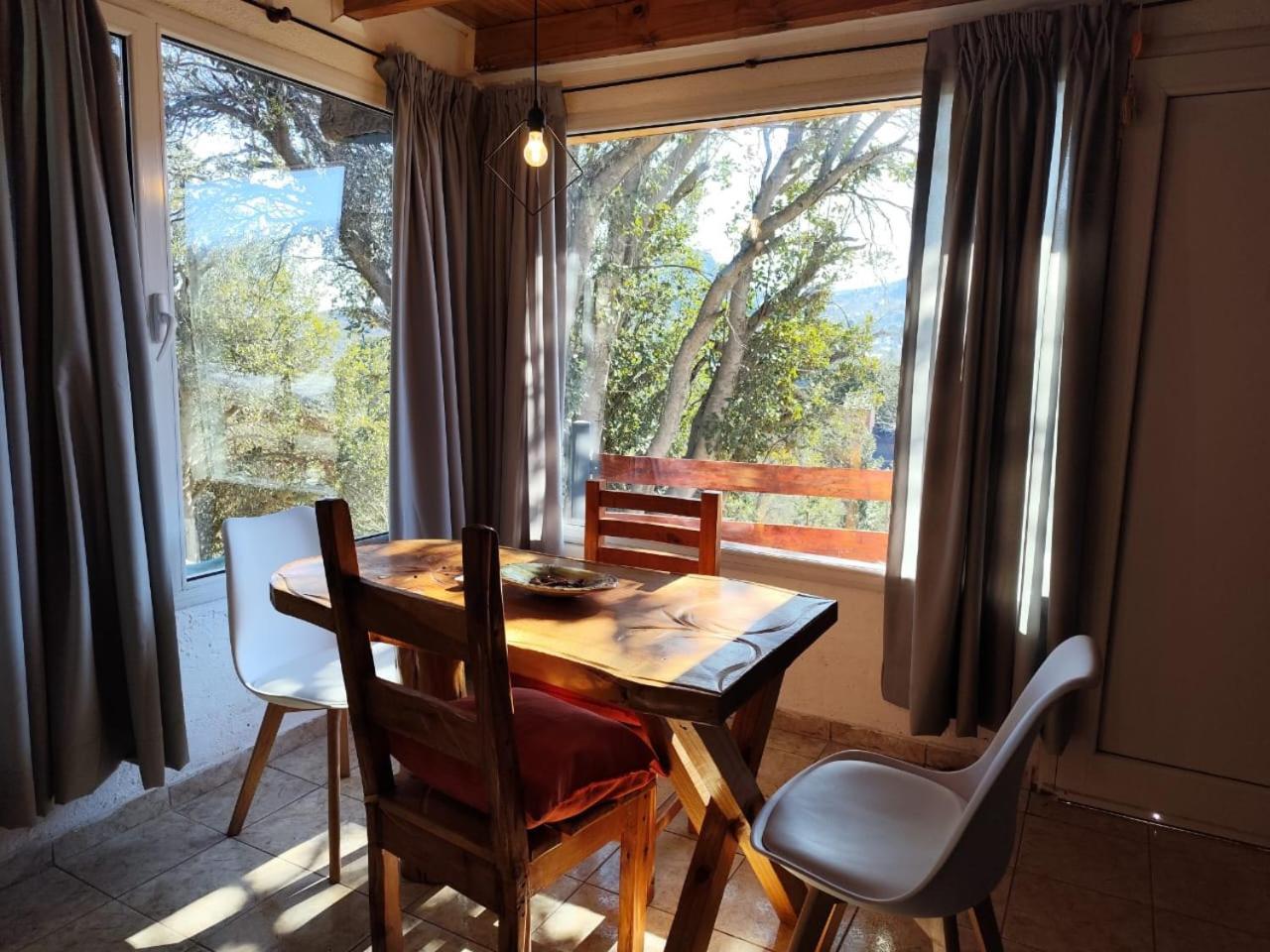 Apartment Hakuna Pehuenia *