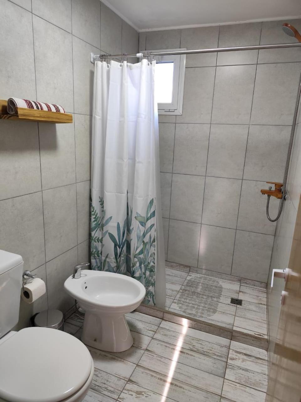 Apartment Hakuna Pehuenia