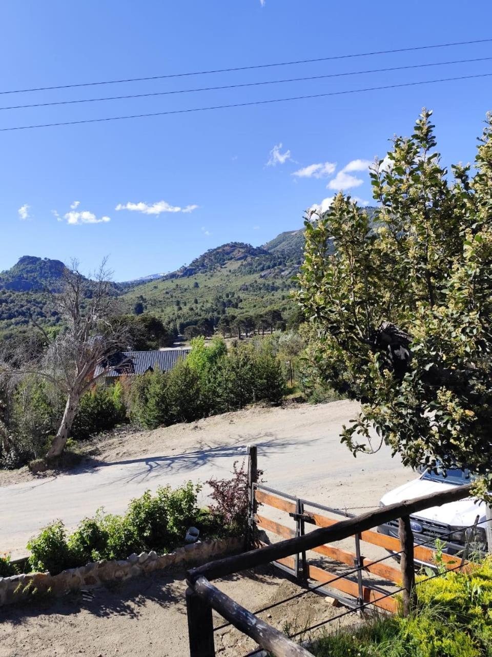 Hakuna Pehuenia Apartment *